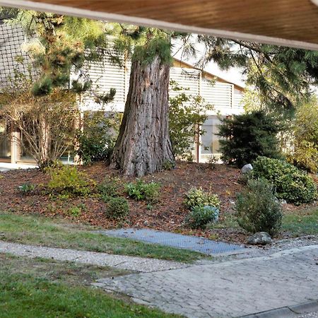 Ferienwohnung Konigsegg Ines Koch Reichenau Bagian luar foto